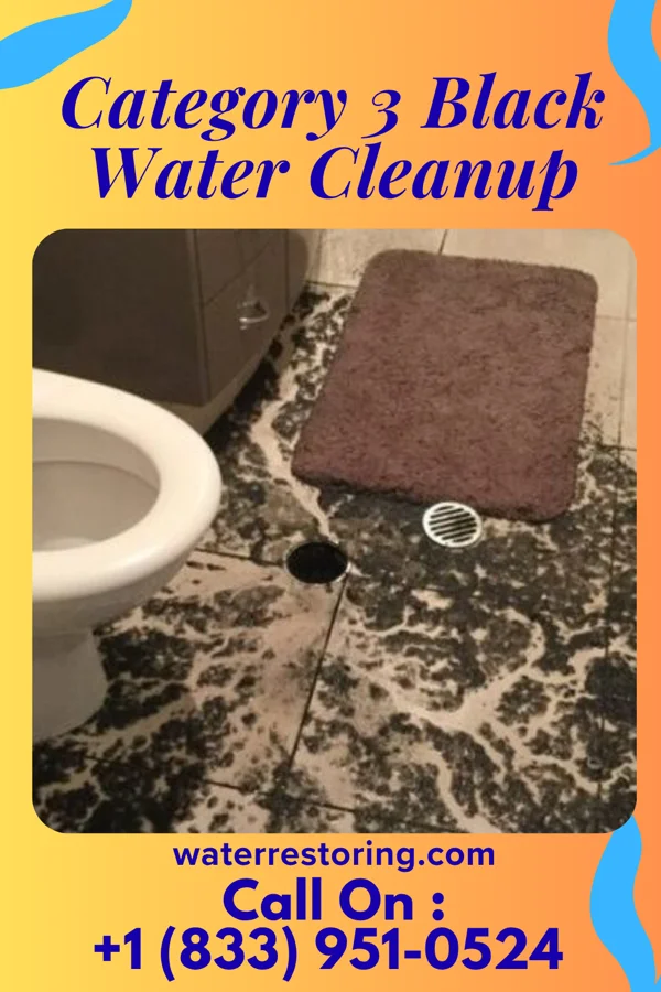 Category 3 Black Water Cleanup in Mays Chapel, MD