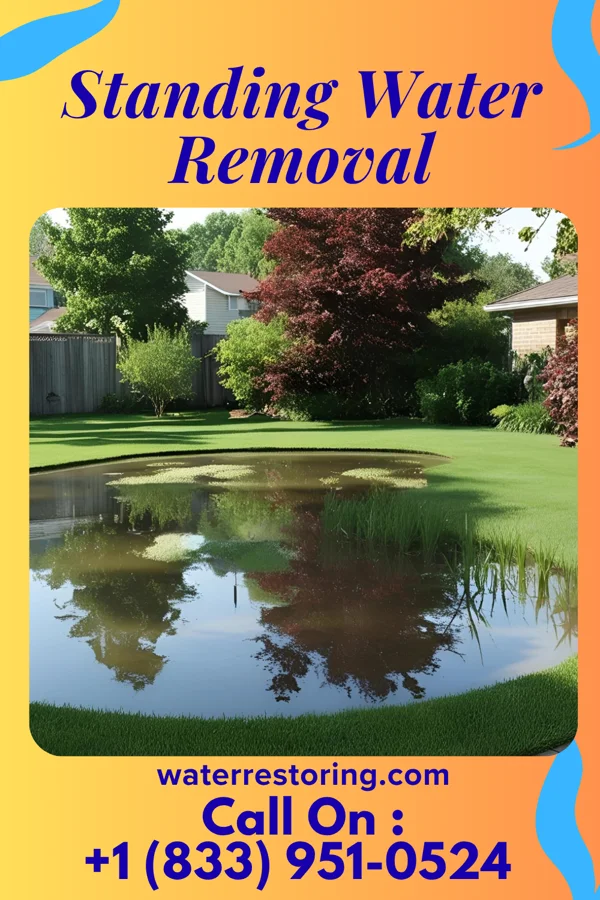 Standing Water Removal in Mays Chapel, MD